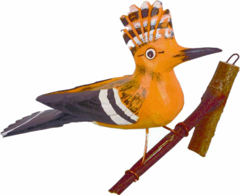 Wiedehopf (german name of the bird)