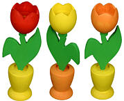 Tulpe im Topf groß farbig