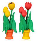Tulpe im Topf groß 3 Blüten farbig