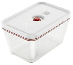 Fresh&Save Vakuumbox L Glas, rot